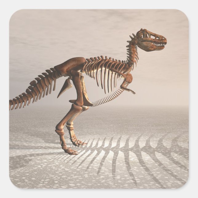 Sticker Carré T. rex Dinosaur Squelette (Devant)