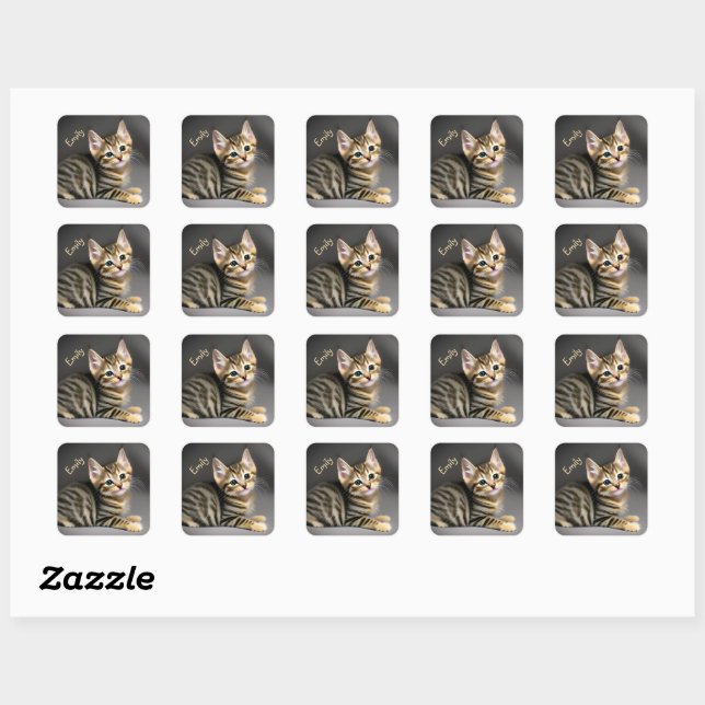 Sticker Carré Tabby chatte moelleux chatte bébé (Feuille)