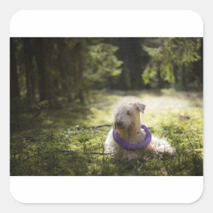 Sticker Carré tache en bois