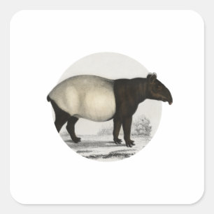 Sticker Carré Tapir malais - Mammal Vintage