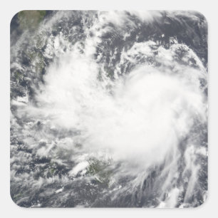 Sticker Carré Tempête tropicale Chanchu 2