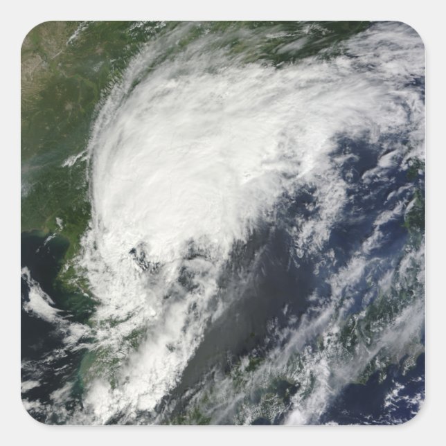 Sticker Carré Tempête tropicale Kompasu (Devant)