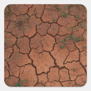 Sticker Carré terrain sec et fissuré