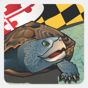 Sticker Carré Terrapin de citoyen, la tortue du Maryland