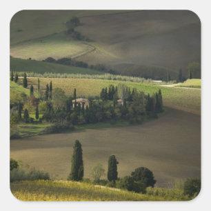 Sticker Carré Terres agricoles autour de Montepulciano, Toscane,