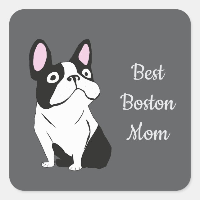 Sticker Carré terrier de Boston (Devant)
