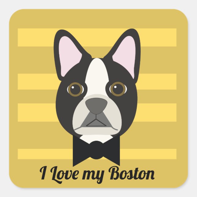 Sticker Carré Terrier de Boston (Devant)