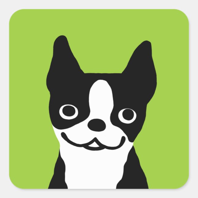 Sticker Carré Terrier de Boston - Chien Mignon (Devant)