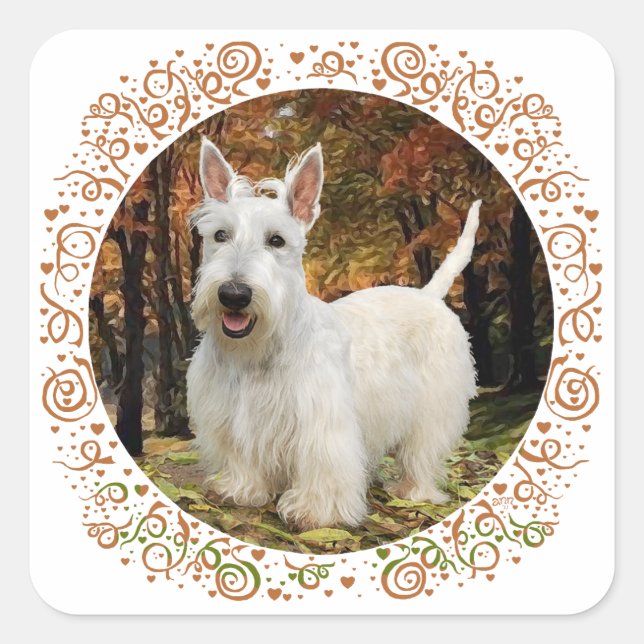 Sticker Carré Terrier Écossais Blé Automne (Devant)