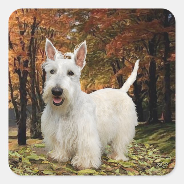 Sticker Carré Terrier Écossais Rouquin Automne (Devant)