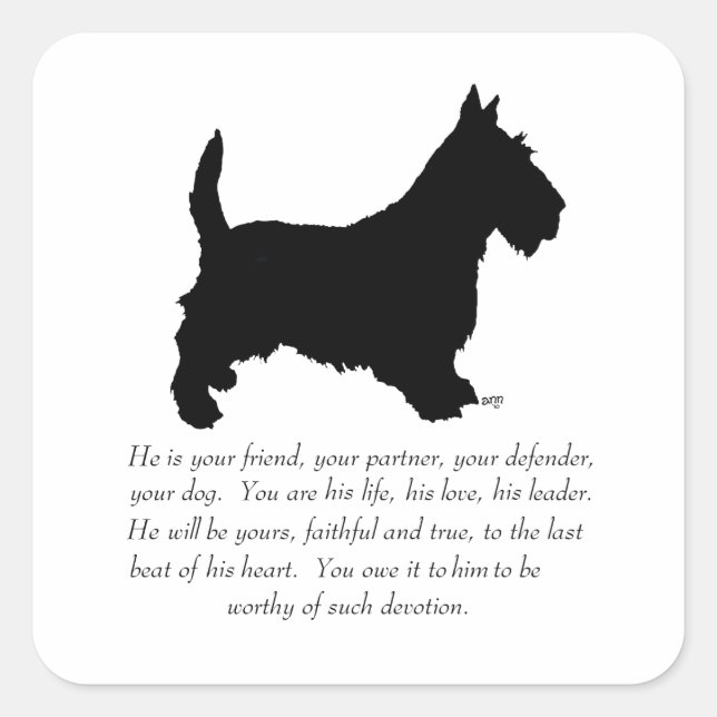 Sticker Carré Térrier Écossais Souvenir - Chien MÂLE (Devant)