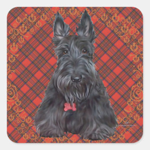 Sticker Carré Térrier écossais sur tartan