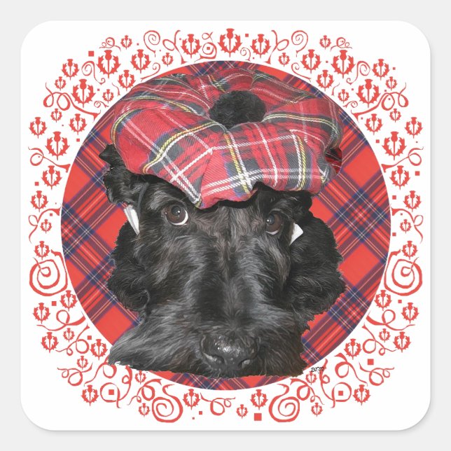 Sticker Carré Terrier Écossais sur Tartan (Devant)