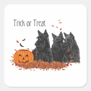 Sticker Carré Terriers Écossais Halloween