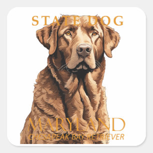 Sticker Carré Territoire du Maryland Chien Le Retriever 2