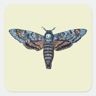 Sticker Carré Tête de mort, alias Sphinx atropo moth