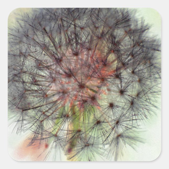 Sticker Carré Tête de semence Dandelion (Devant)
