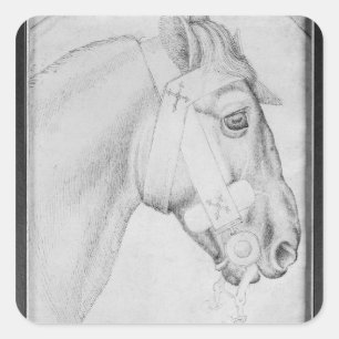 Sticker Carré Tête d'un cheval, de l'Album Vallardi