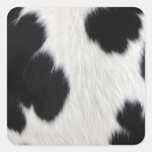 Sticker Carré texture de peau de vache noir blanc cuir animal po