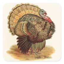 Thanksgiving antique d'illustration de la Turquie
