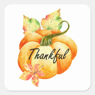 Sticker Carré Thanksgiving, Citrouille d'aquarelle