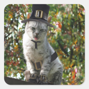 Sticker Carré Thanksgiving Pilgrim Cat