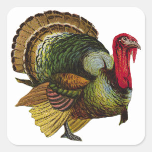 Sticker Carré Thanksgiving Turquie
