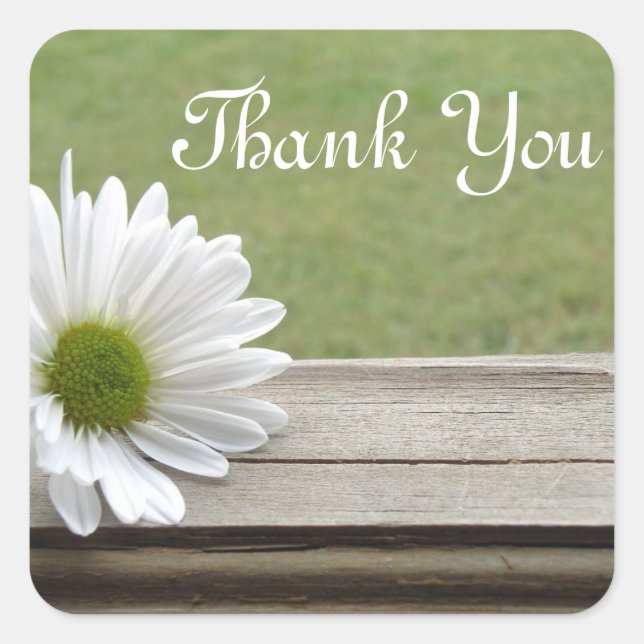 Sticker Carré Thème Daisy (Devant)