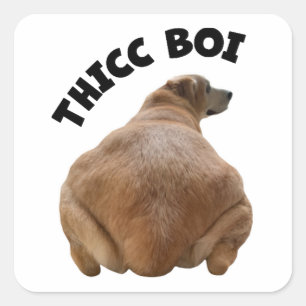 Sticker Carré Thicc Boi Gras et amusant Yellow Labrador Retrieve