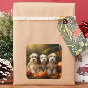 Sticker Carré Tibétain Terrier Chiot Automne Citrouille délice