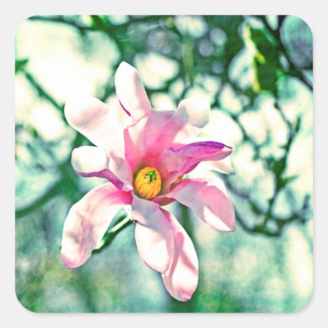 Sticker Carré Tiffany Magnolia (Devant)