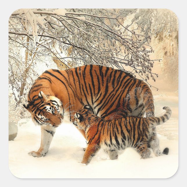 Sticker Carré Tiger and Cub, Winter Scene, (Devant)