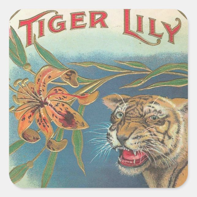 Sticker Carré Tiger Lily (Devant)
