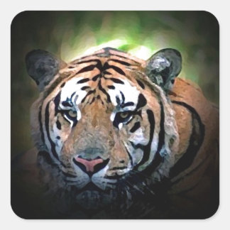 Sticker Carré Tigre