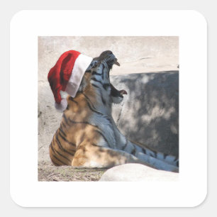Sticker Carré Tigre du Bengale portant le chapeau du Père Noël