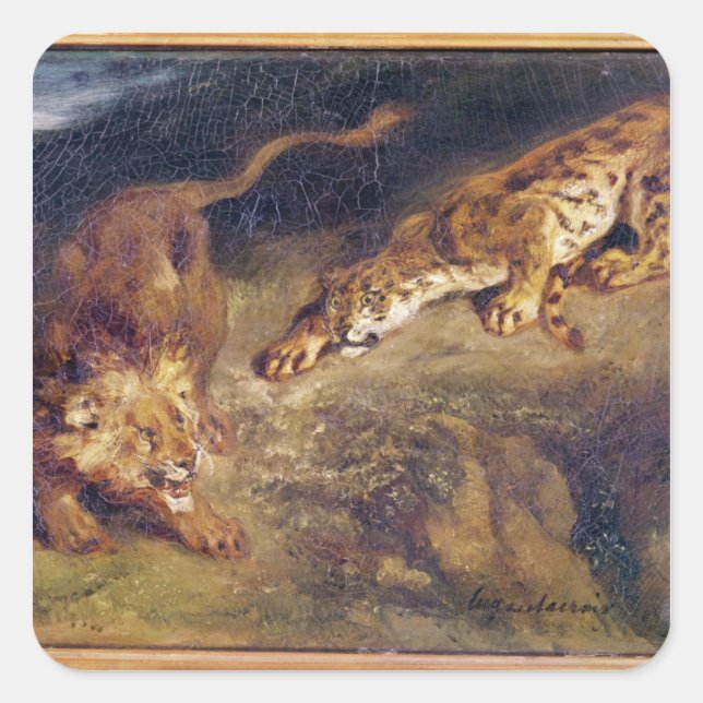 Sticker Carré Tigre et Lion (Devant)