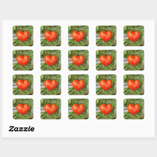 Sticker Carré Tomate en forme de coeur