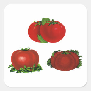 Sticker Carré Tomates vintages rouges mûres Nourriture, Fruits,