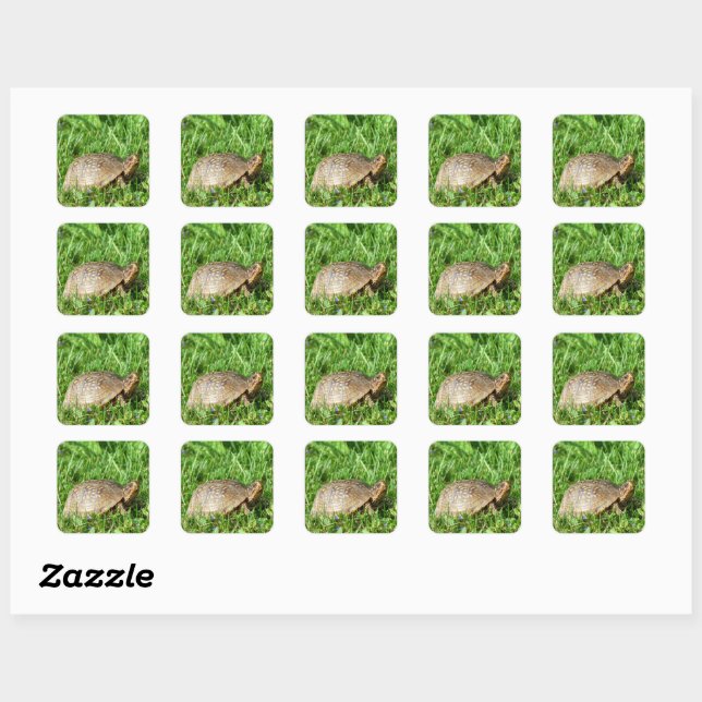 Sticker Carré Tortue (Feuille)