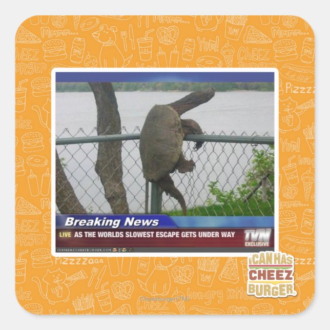 Sticker Carré Tortue en voie de disparition (Devant)