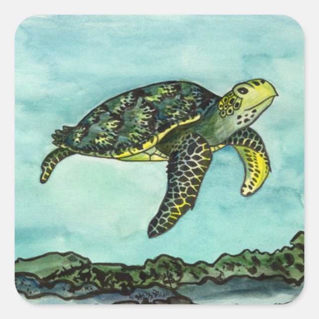 Sticker Carré Tortue verte (Devant)