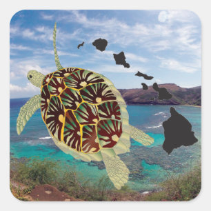 Sticker Carré Tortues hawaïennes