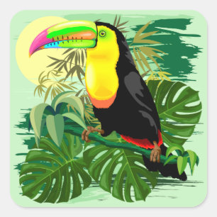Sticker Carré Toucan en Amazonie verte