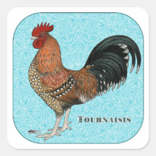 Sticker Carré Tournaisis Rooster