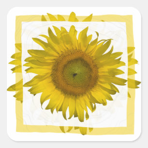 Sticker Carré Tournesol jaune