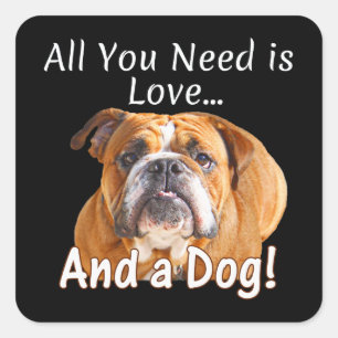 Sticker Carré Tout ce dont vous avez besoin est Love & Bulldog C