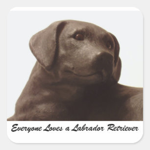 Sticker Carré Tout le monde aime un Labrador Retriever