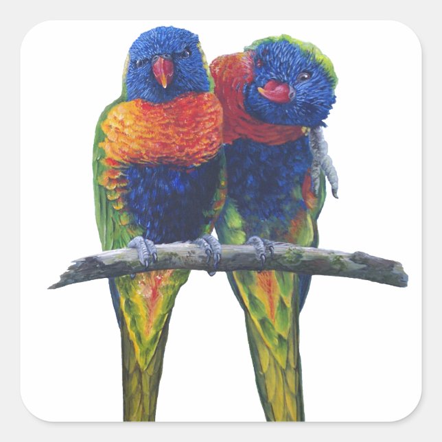 Sticker Carré Toutes les couleurs des Lorikeets Arc-en-ciel (Devant)