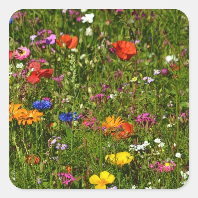 Sticker Carré toutes sortes de belles fleurs (Devant)