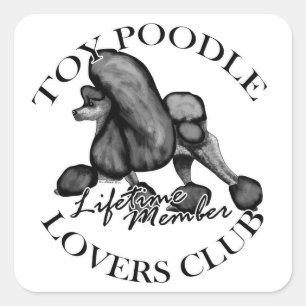 Sticker Carré Toy Poodle Lovers Club Noir